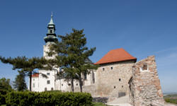 POLTURIZM
